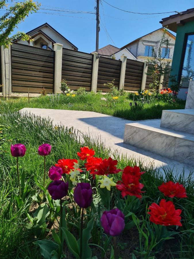 Vila Fara Nume Năvodari Extérieur photo